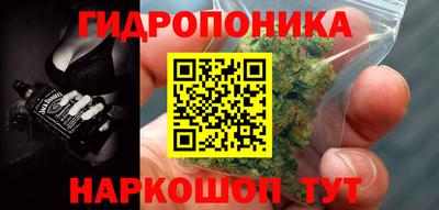 гидропоника Партизанск