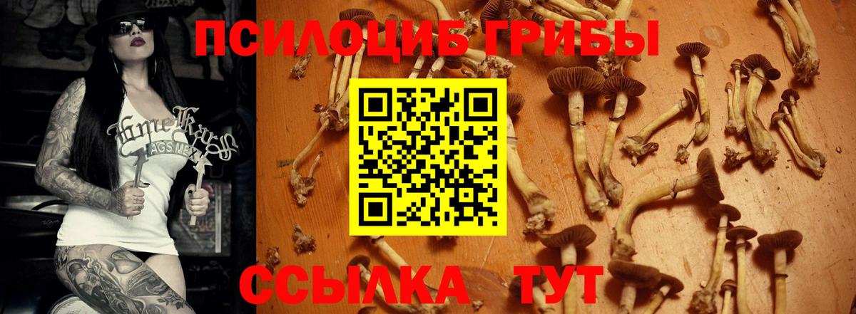 Галлюциногенные грибы GOLDEN TEACHER Рассказово