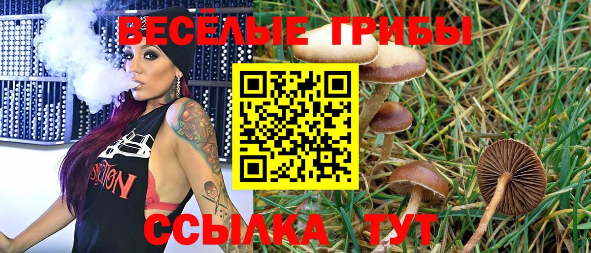 Рассказово  хочу   Вход с VPN  Псилоцибиновые грибы прущие грибы 